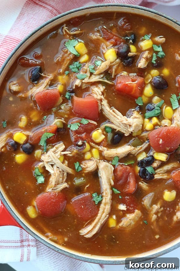 Chicken Tortilla Soup - loaded with shredded chicken, tomatoes, corn, black beans, onions, and green chilies, all in a tasty broth. An overhead of Chicken Tortilla Soup in a pot.