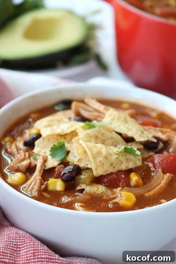 Chicken Tortilla Soup - loaded with shredded chicken, tomatoes, corn, black beans, onions, and green chilies, all in a tasty broth. Chicken Tortilla Soup in a bowl.