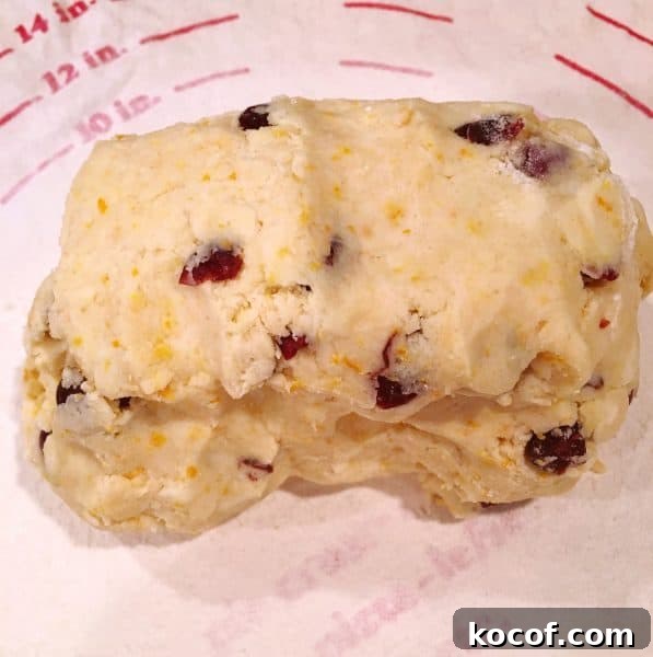 Cranberry Orange Scone dough