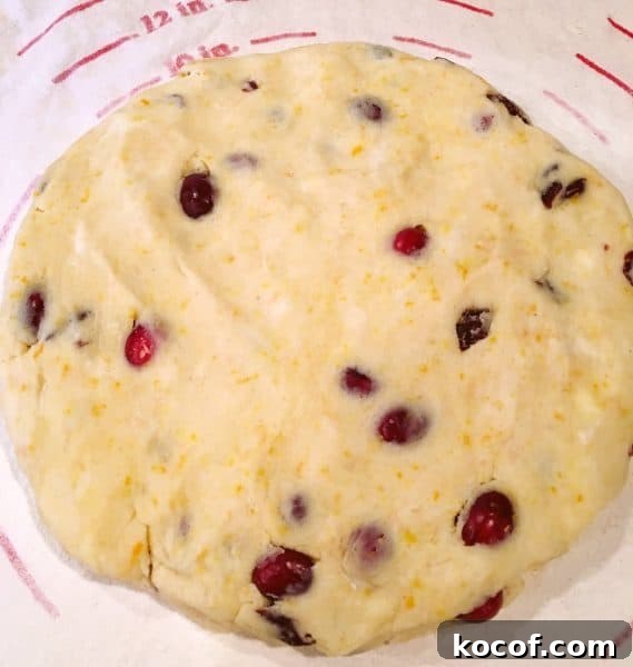 Cranberry Orange Scones in a disc