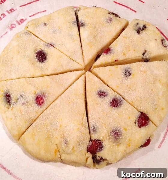 Dough cut into triangles
