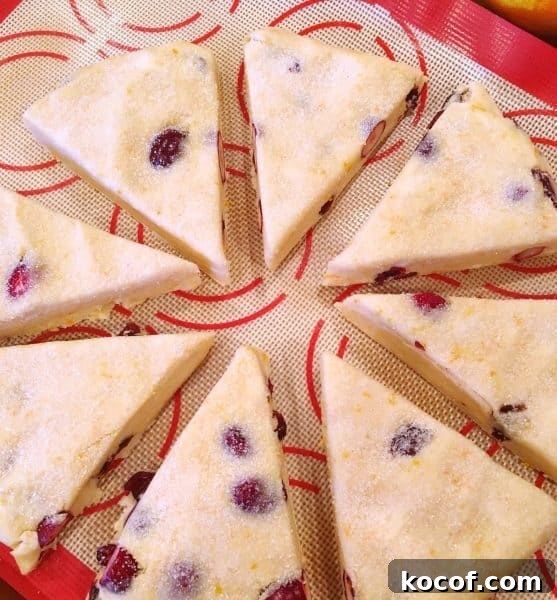 Cranberry Orange Scones on baking sheet