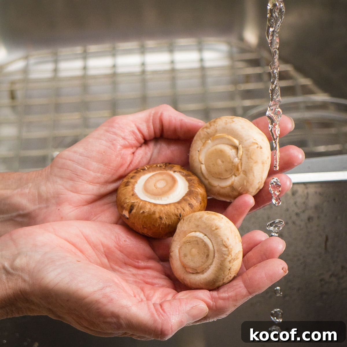 Hands holding mushrooms under a trickle of water to rinse them.