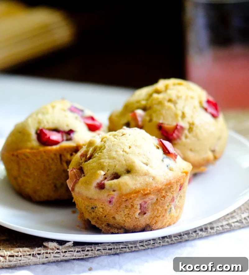 Buttermilk Orange Rhubarb Muffins — Tangy Spring Treats 13 rhubarb muffins 011