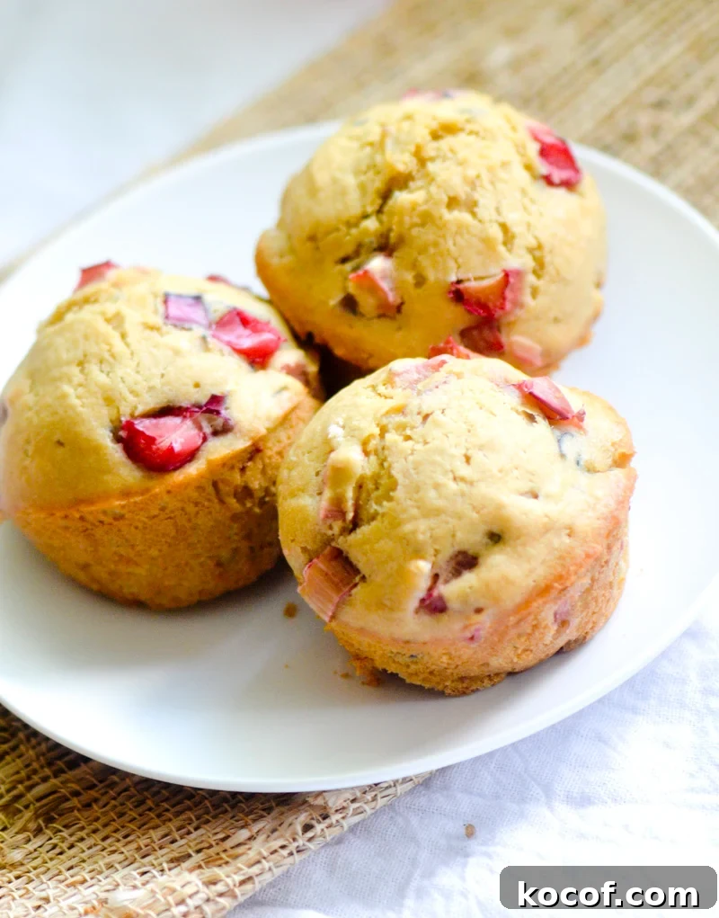 Buttermilk Orange Rhubarb Muffins — Tangy Spring Treats 7 3 Rhubarb muffins sitting on an white plate.