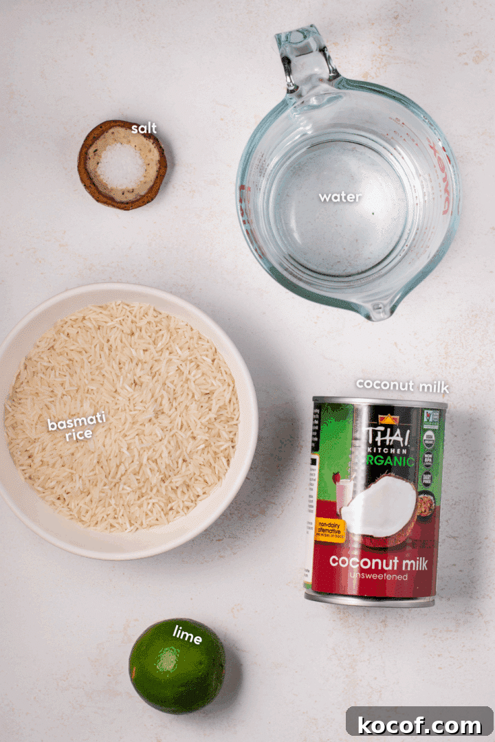 picture of the ingredients needed to make coconut basmati rice