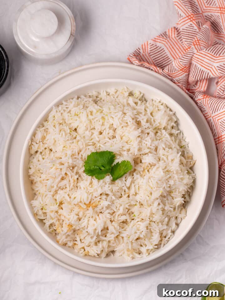 overhead view of the featured recipe