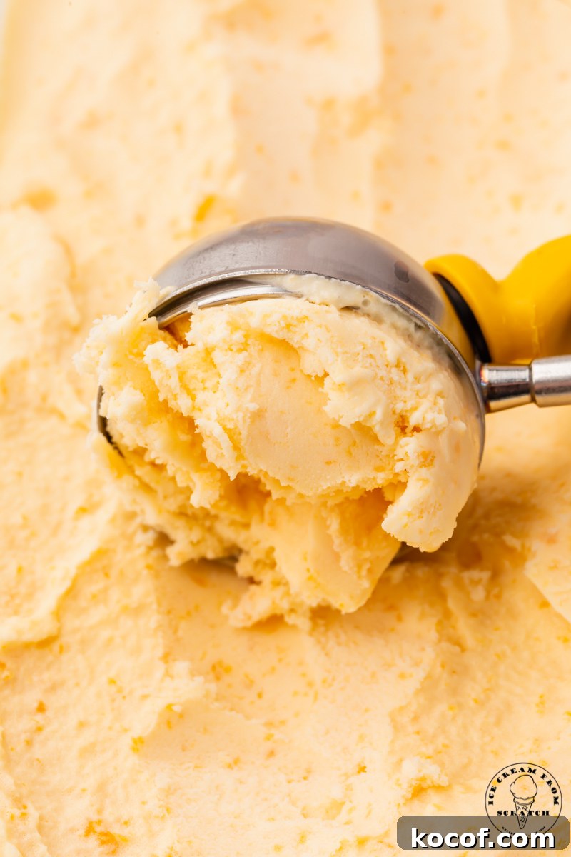 homemade peach ice cream being scooped with a metal ice cream scoop